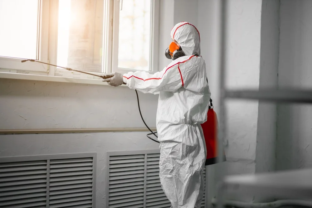 Professional mold remediation services in Glen, NH